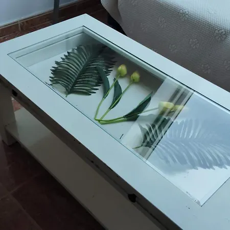 Apartamento Las Gaviotas *