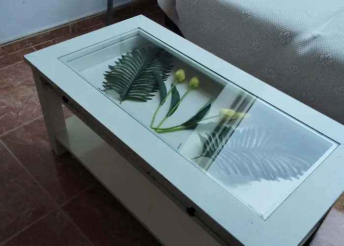 Apartamento Las Gaviotas *